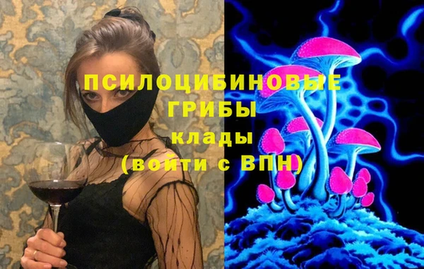 тгк Абаза