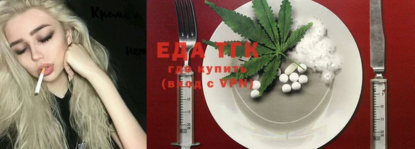 тгк Абаза