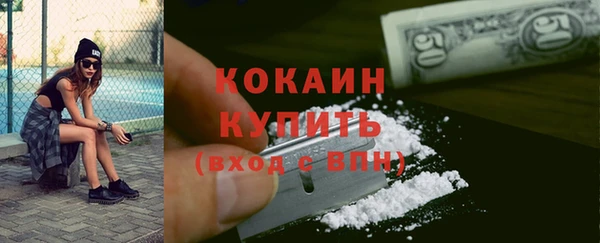 тгк Абаза