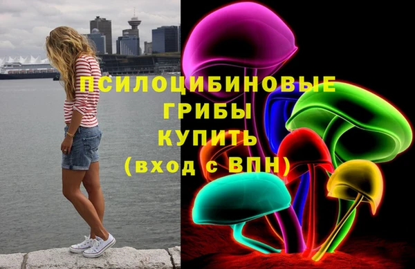 тгк Абаза