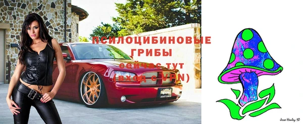 тгк Абаза