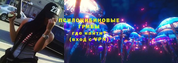 тгк Абаза