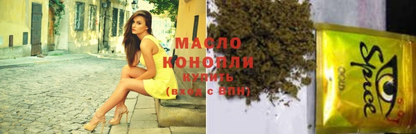 тгк Абаза